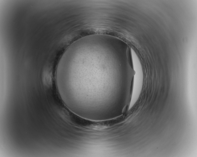 X0000088380644200706051100
