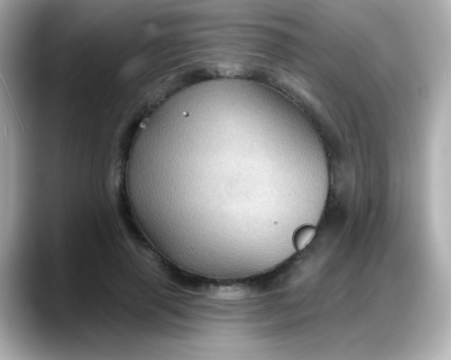 X0000088380645200706051100