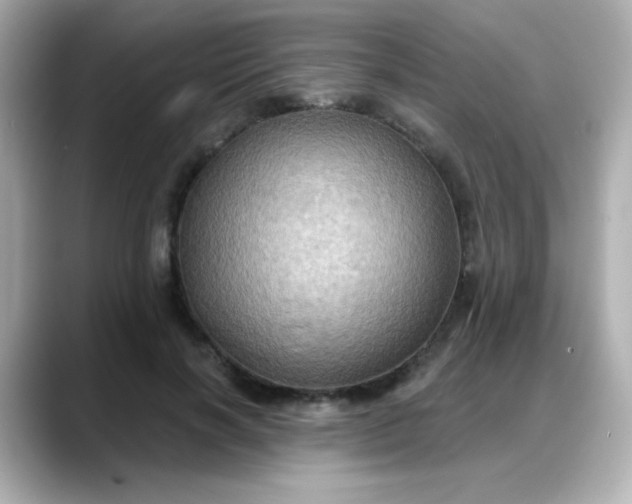 X0000088380646200706051100