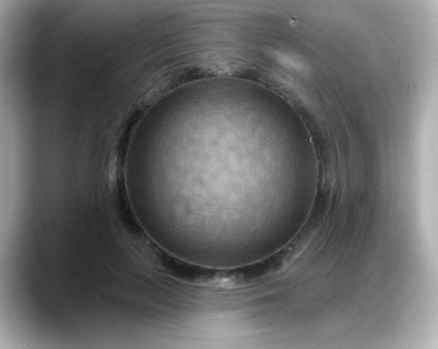 X0000088380647200706051100