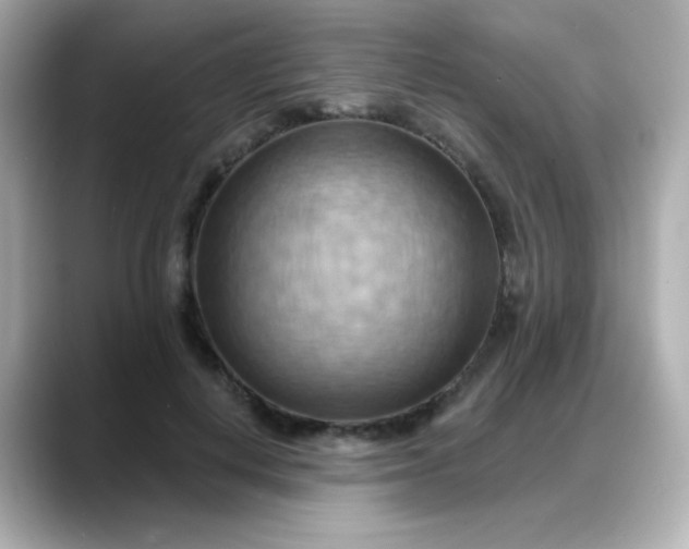 X0000088380648200706051100