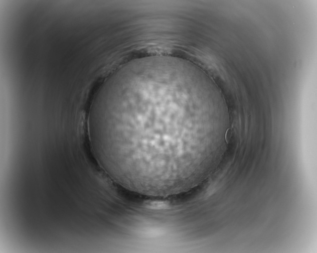 X0000088380649200706051100