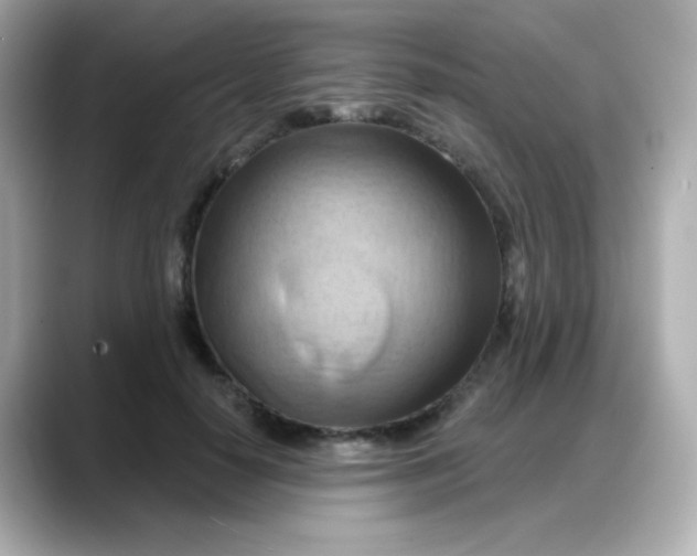 X0000088380650200706051100