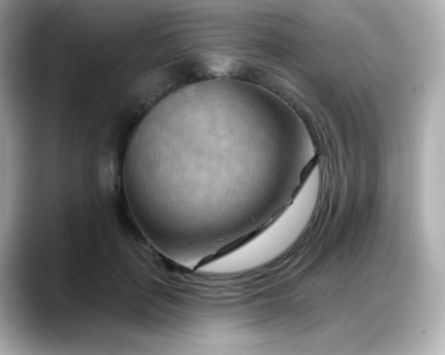 X0000088380651200706051100