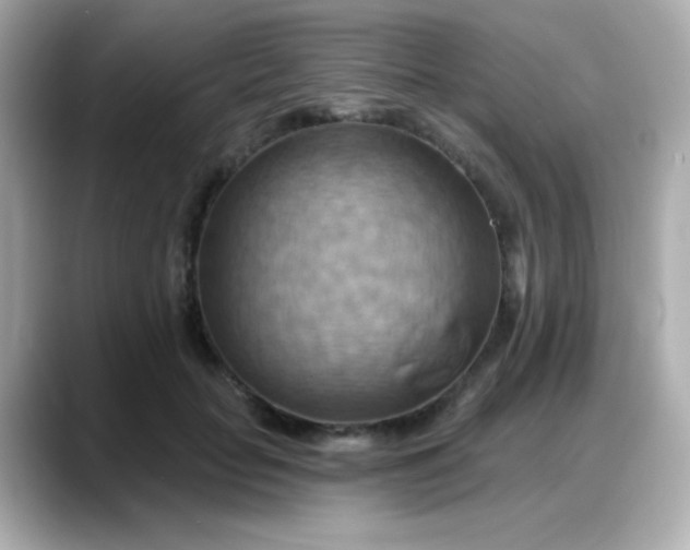 X0000088380653200706051100