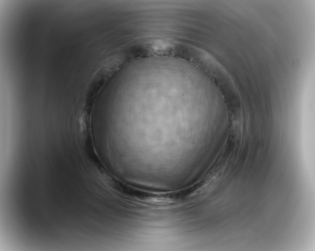 X0000088380654200706051100