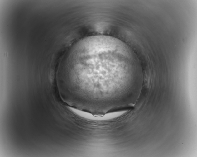 X0000088380656200706051100