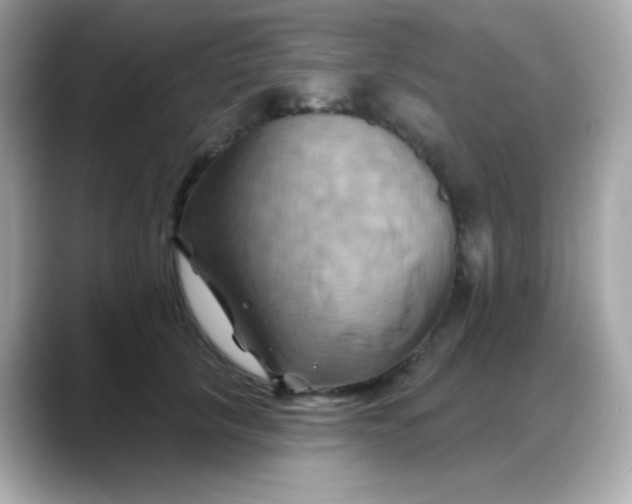 X0000088380657200706051100