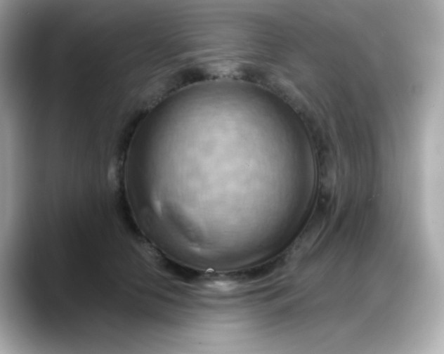 X0000088380658200706051100
