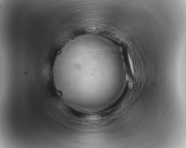 X0000088380659200706051100