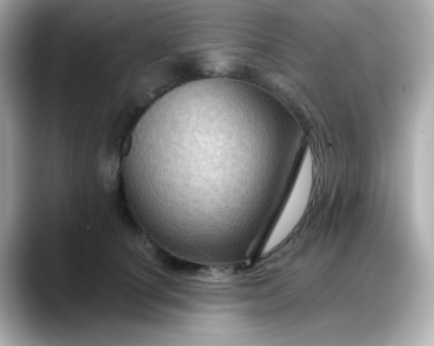 X0000088380660200706051100
