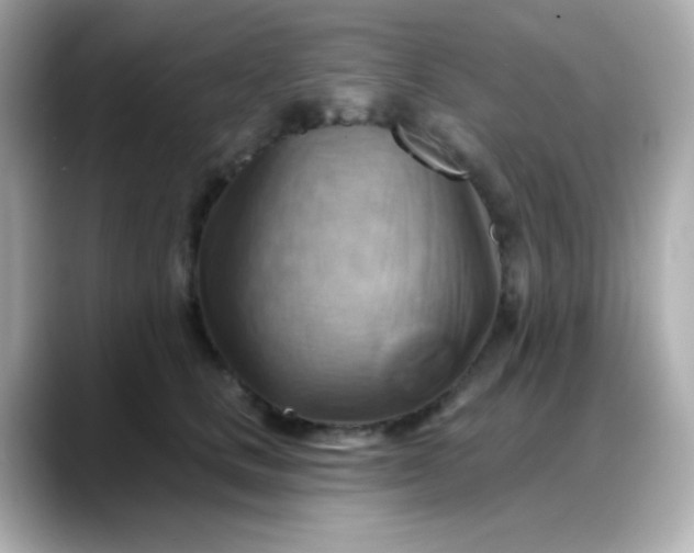 X0000088380661200706051100