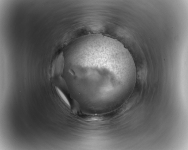 X0000088380662200706051100
