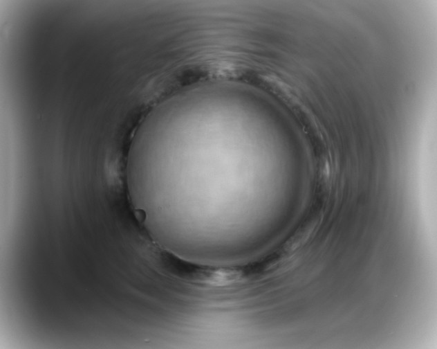 X0000088380663200706051100