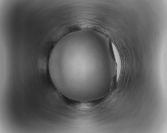 X0000088380664200706051100