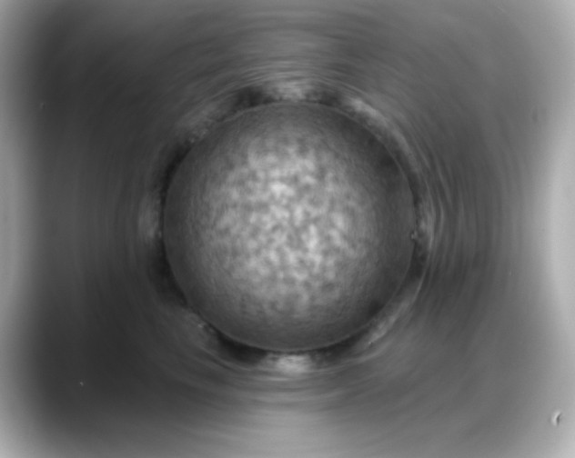 X0000088380665200706051100