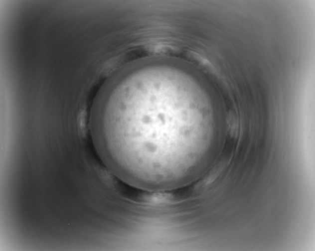X0000088380670200706051100