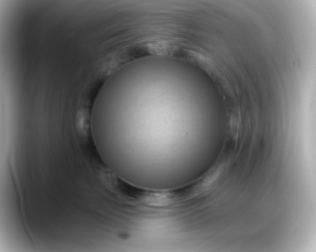 X0000088380671200706051100