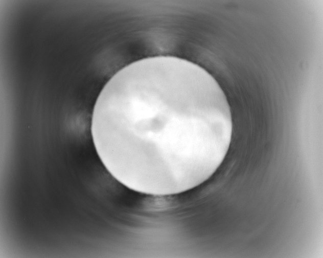 X0000088380672200706051100