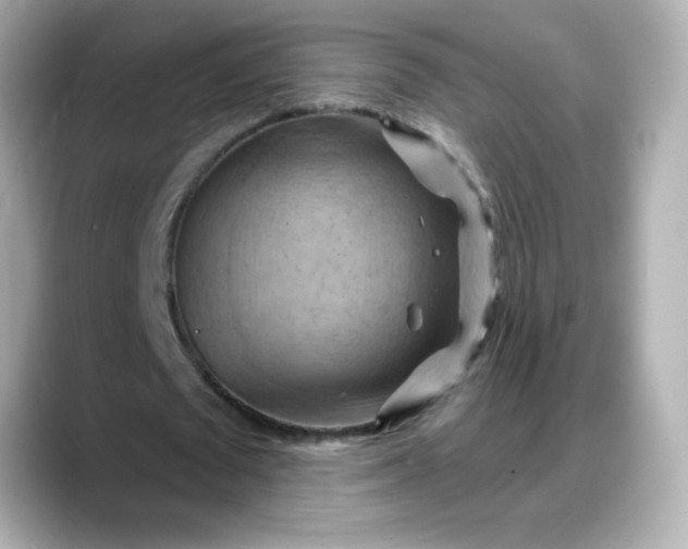 X0000088380673200706051100