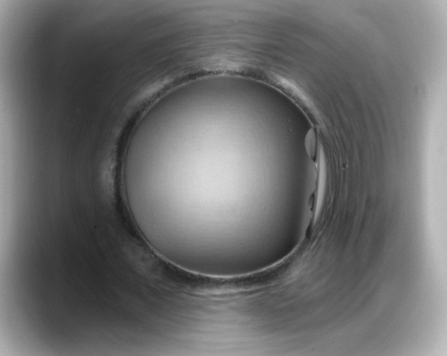 X0000088380675200706051100