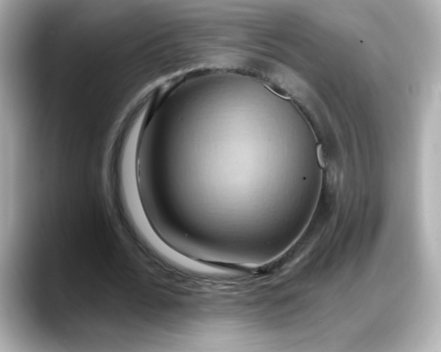 X0000088380676200706051100