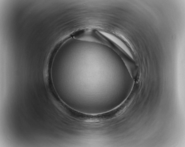 X0000088380677200706051100