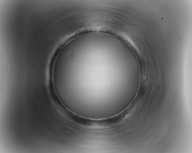 X0000088380678200706051100