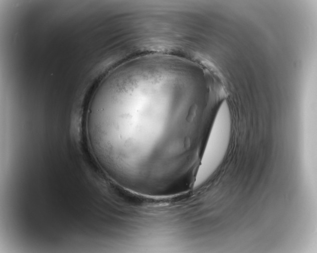 X0000088380679200706051100