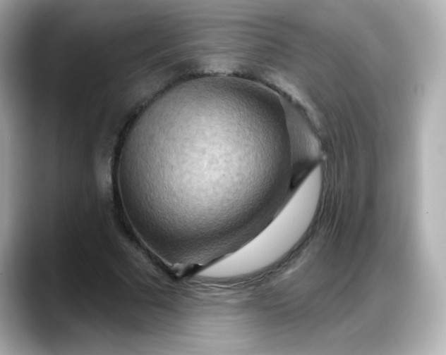 X0000088380681200706051100