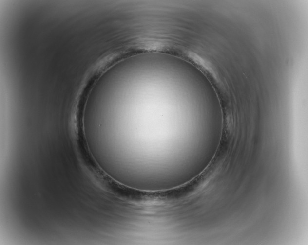 X0000088380682200706051100