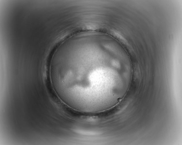 X0000088380683200706051100