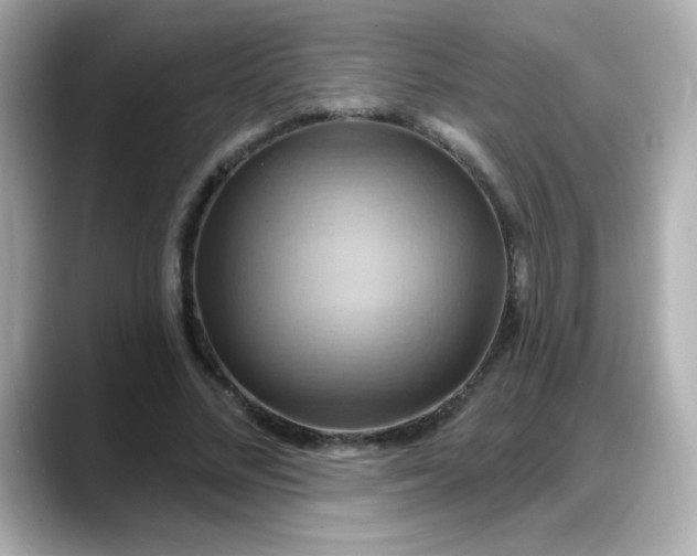 X0000088380684200706051100