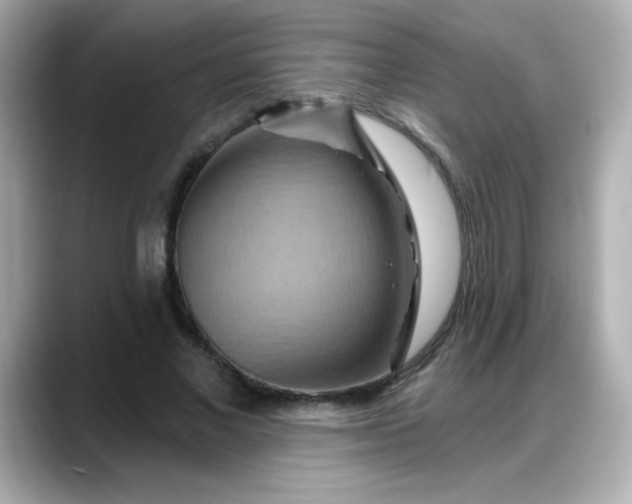 X0000088380685200706051100