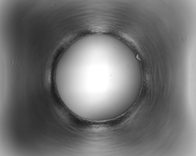 X0000088380686200706051100