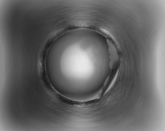 X0000088380688200706051100