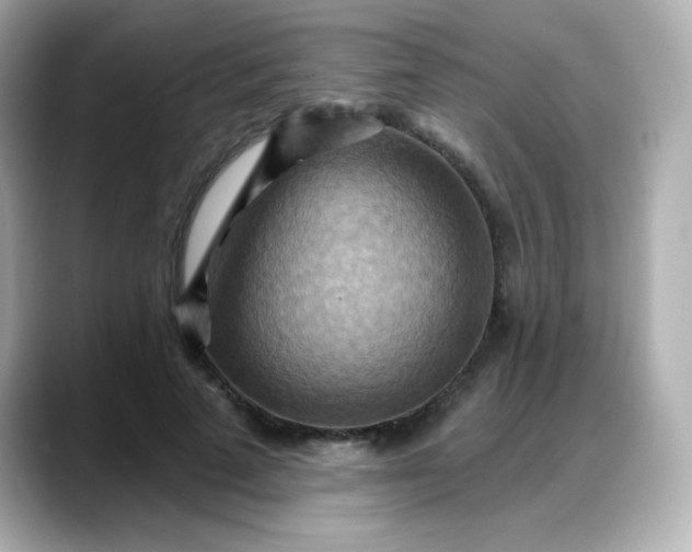 X0000088380689200706051100
