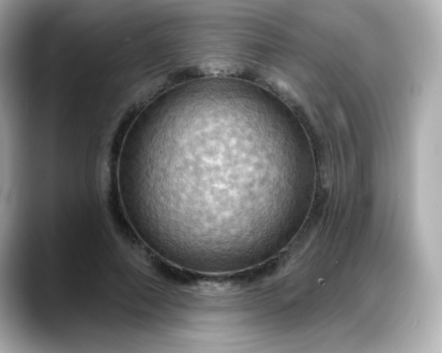 X0000088380690200706051100