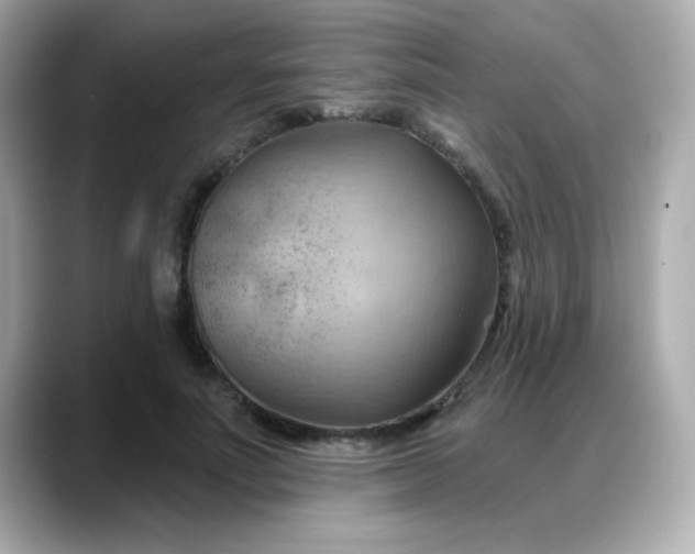 X0000088380691200706051100