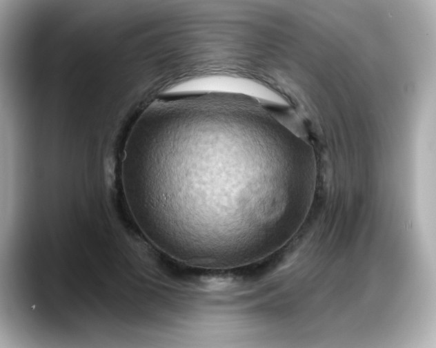 X0000088380693200706051100