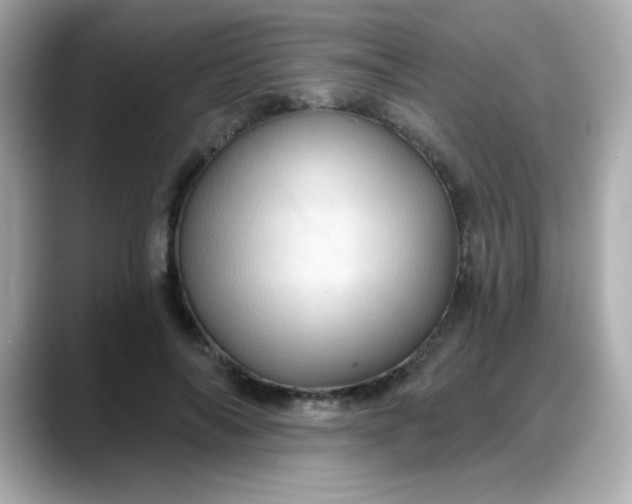X0000088380694200706051100