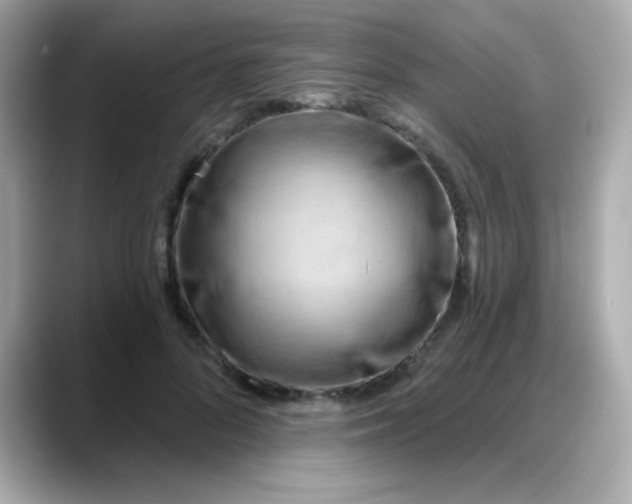 X0000088380696200706051100