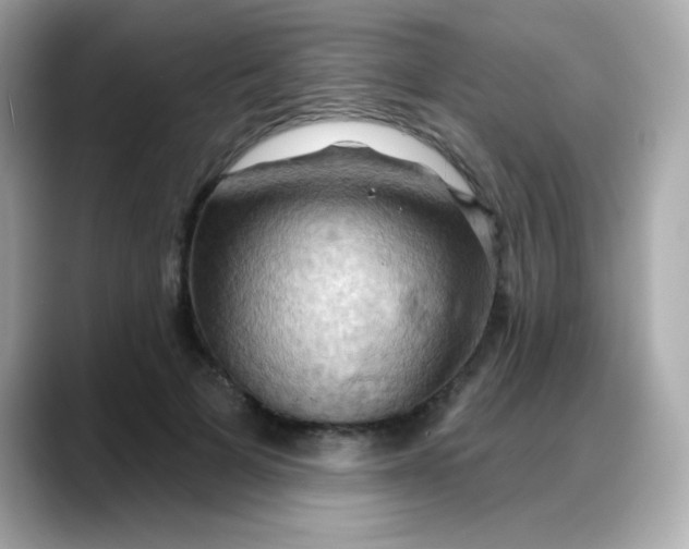X0000088380697200706051100