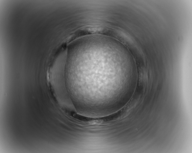 X0000088380700200706051100