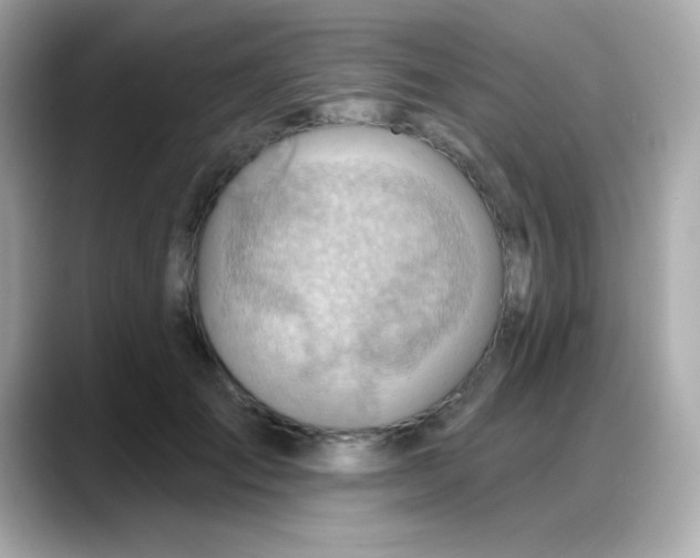 X0000088380701200706051100