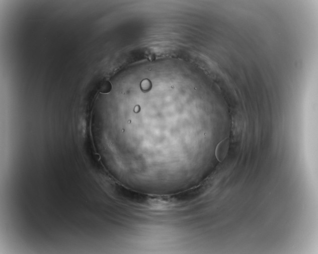 X0000088380703200706051100