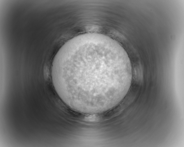 X0000088380705200706051059