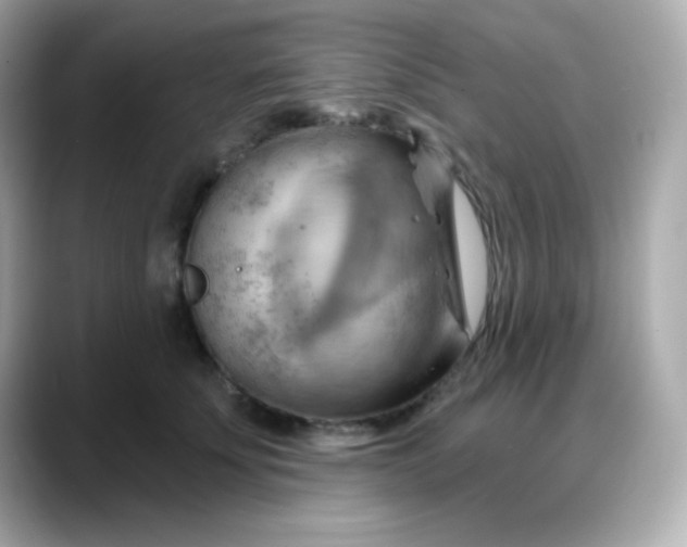 X0000088380707200706051059
