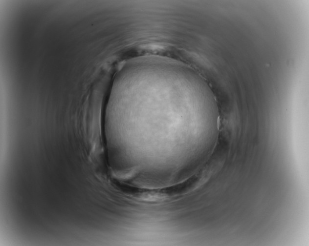 X0000088380708200706051059