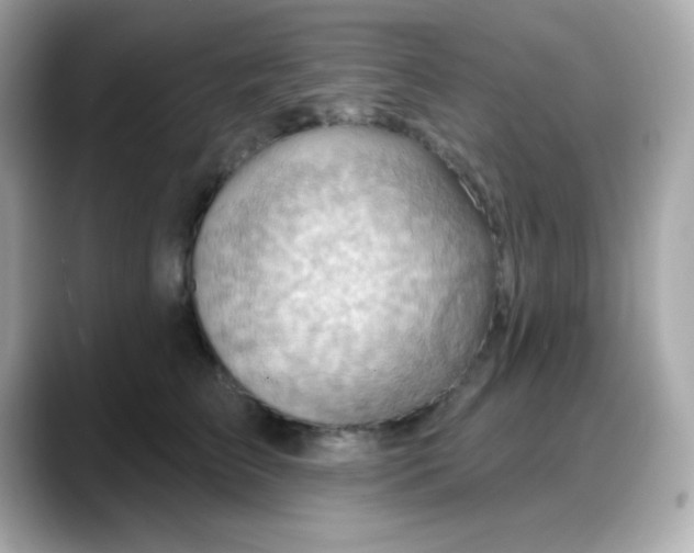 X0000088380709200706051059